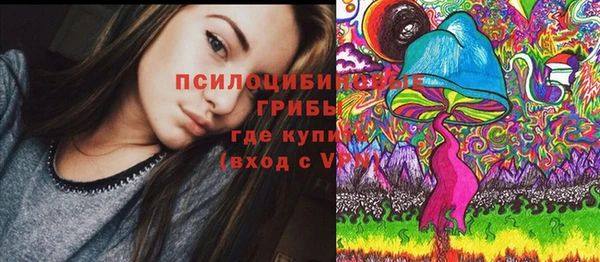a pvp Абдулино