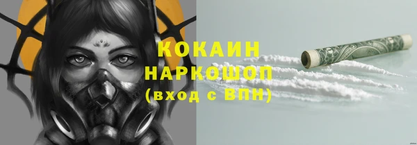 дмт Абаза