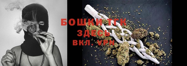 дмт Абаза